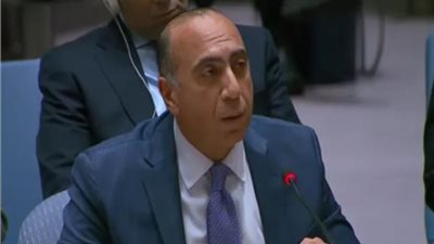 مندوب مصر في مجلس الأمن: يجب توحيد الضفة وقطاع غزة