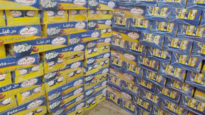 ضبط 2700 عبوة جبن و7200 كيس ملح و2 طن مكرونة مجهولة المصدر بالغربية