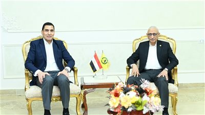  وزير الشباب والرياضة يبحث مع محافظ شمال سيناء دعم برامج التنمية الشبابية