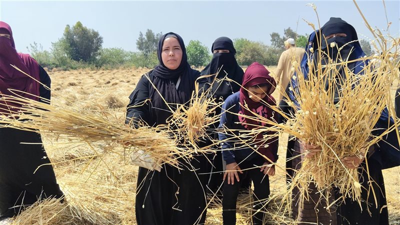 أصحاب الأرض الزراعية