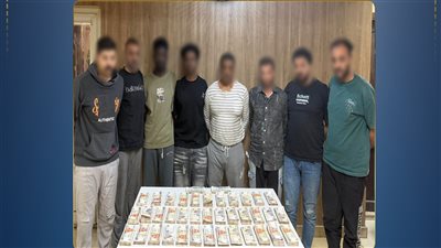 ضبط 8 متهمين سرقوا مبلغًا ماليًا من سائق أجنبي بالقاهرة