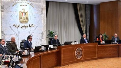 الوزراء يوافق على مشروع قرار بشأن تحديد أصول علاجية منقولة إلى الهيئة العامة للرعاية الصحية
