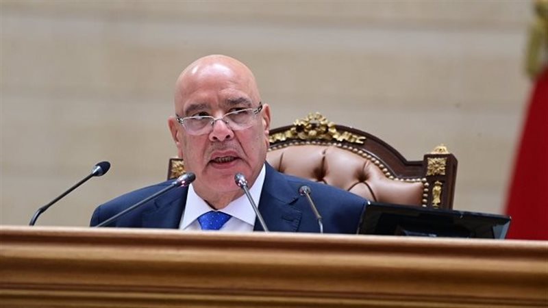 المستشار هشام بدوى