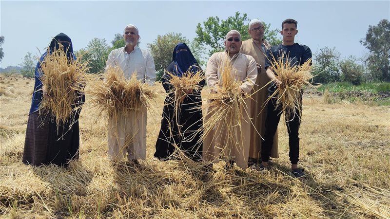 أصحاب الأرض قبل الصلح
