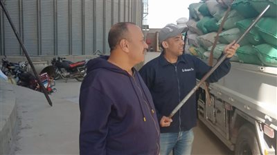 محافظ المنوفية يتابع توريد القمح ويؤكد انتظام العمل بالشون والصوامع وبلوغ 24 ألف طن حتى الآن