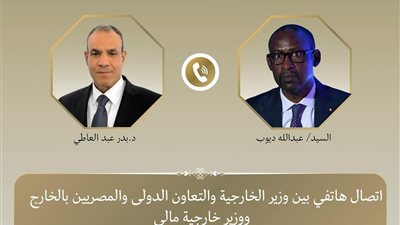 وزير الخارجية يؤكد تضامن مصر مع مالي ويجدد إدانة الهجمات الإرهابية
