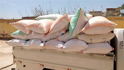 محافظ البحيرة: توريد 32800 طن قمح للشون والصوامع ولجان متخصصة للفرز لضمان جودة الأقماح