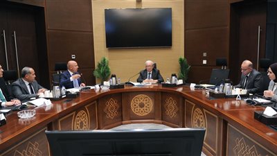 نائب رئيس الوزراء للشئون الاقتصادية يستعرض مع وزير النقل موقف مشروع شبكة القطار الكهربائي السريع