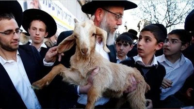 محافظة القدس: 8 محاولات لإدخال القرابين إلى المسجد الأقصى