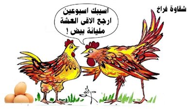 شقاوة فراخ
