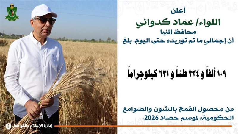 توريد القمح بالمنيا