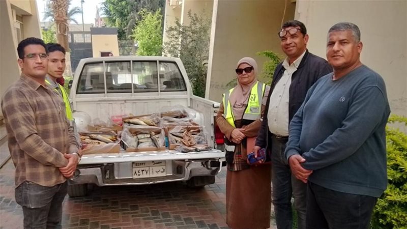 أحد الضبطيات