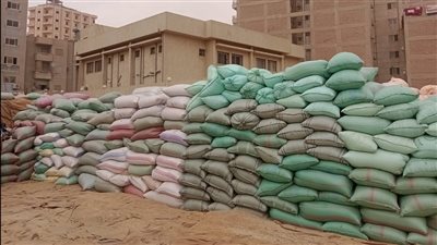 توريد 53 ألفًا و758 طن قمح إلى الصوامع والشون منذ بدء الموسم بأسيوط