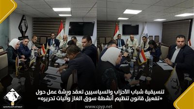 تنسيقية شباب الأحزاب تعقد ورشة عمل حول «تفعيل قانون تنظيم أنشطة سوق الغاز وآليات تحريره»