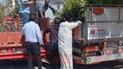 محافظ الفيوم يوزع 9985 شجرة بالمدارس والشباب ضمن مبادرة 