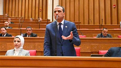 بالفيديو.. النائب ممدوح جاب الله لـ