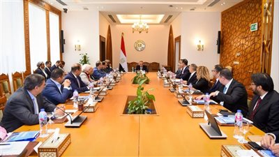 وزير الخارجية يلتقي ممثلي الشركات المصرية العاملة في أفريقيا لتعزيز النشاط الاقتصادي