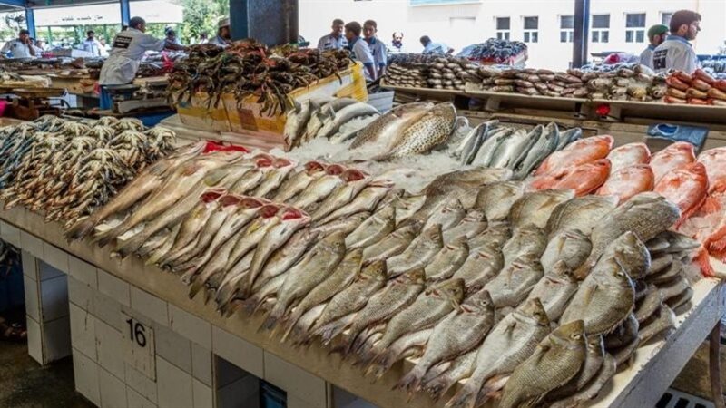 المعروض من الأسماك