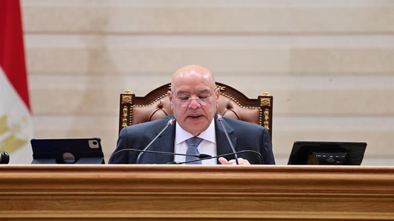 المستشار هشام بدوي