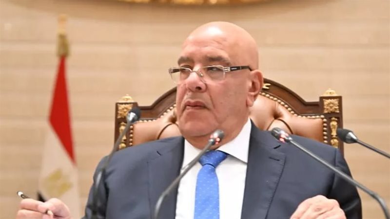 المستشار هشام بدوي