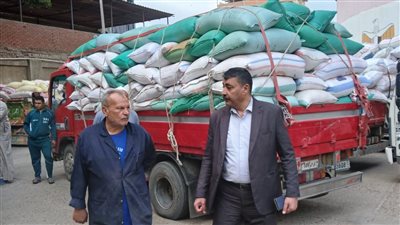  محافظ المنوفية يتابع توريد القمح.. واستلام أكثر من 48 ألف طن منذ بدء الموسم 