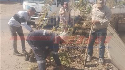كفر الشيخ تزرع الأشجار ضمن المبادرة الرئاسية «100 مليون شجرة»