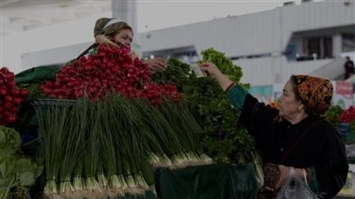 منظمة 