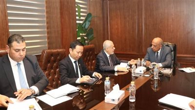 وزير الكهرباء يبحث «إيميا باور» مستجدات تنفيذ مشروعات الطاقة الشمسية وطاقة الرياح 
