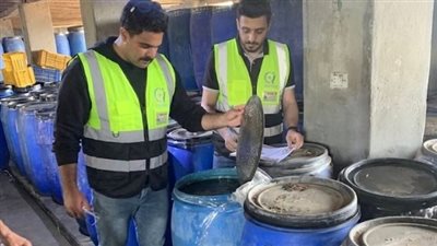 230 ألف طن غذاء مصري تغزو 191 دولة