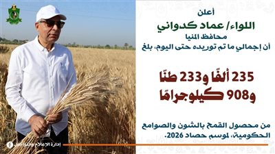 توريد 235 ألف طن من محصول القمح منذ بداية موسم 2026 بالمنيا