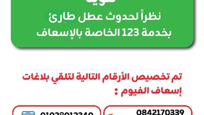 عطل يضرب مرفق إسعاف الفيوم وتخصيص أرقام بديلة للإبلاغ عن حالات الطوارئ