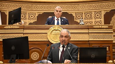نائب بالشيوخ: انضباط التعليم خطوة مهمة والتحدي الآن جودة المناهج ومواجهة الغش