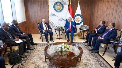 وزير البترول يبحث مع منظمة منتجي النفط الأفارقة تعزيز التكامل بقطاع الطاقة