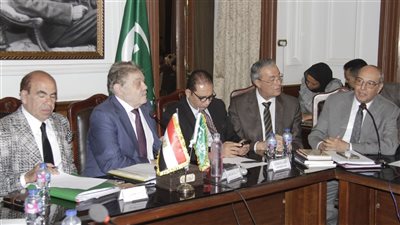 البدوي: سنطرح تعديلات مهمة على قانون الأحوال الشخصية داخل البرلمان