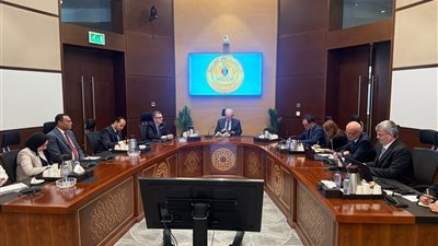 نائب رئيس الوزراء يبحث مع البنك الدولي حوكمة الاستثمارات وإصلاح الشركات الحكومية