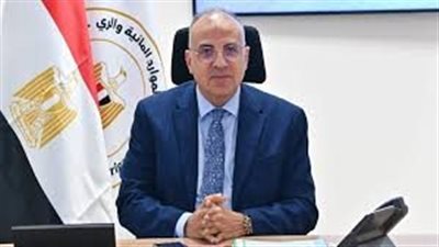 وزير الري يشيد بشجاعة العاملين بمحطة الرديسية بأسوان لإحباطهم محاولة سرقة فجرًا