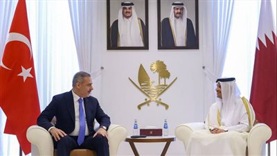 أمير قطر ووزير الخارجية التركي يبحثان تطورات الأوضاع في المنطقة