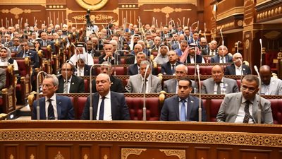مجلس الشيوخ يرفض رفع الحصانة عن النائب محمد مصطفى لطفي 
