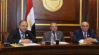 صحة الشيوخ تناقش أزمات المستشفيات بالأقصر والبحيرة ومطروح