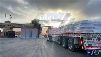 الهلال الأحمر المصري يدفع بأكثر من 3 آلاف طن من المساعدات للأشقاء الفلسطينيين