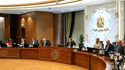 مدبولي : اتخاذ جميع التدابير اللازمة لتوفير السلع الاستهلاكية الأساسية للمواطنين