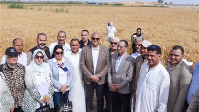  محافظ الإسكندرية يشهد احتفالية حصاد القمح ويؤكد دعم الدولة لتعزيز الأمن الغذائي 