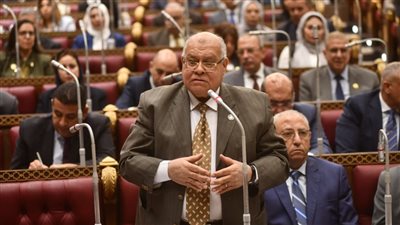 الشهابي: الدولة المصرية تخوض معركة تنمية شاملة هدفها حماية الوطن