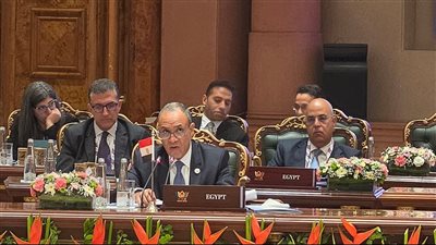 وزير الخارجية يشارك باجتماع البريكس ويدعو لتعزيز التعاون ومواجهة التحديات الدولية