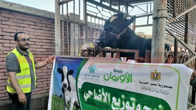 خطة عمل متكاملة استقبالاً لعيد الأضحى بكفرالشيخ 