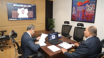 مصر تفوز بعضوية المجلس التنفيذي لمنظمة الأمن الغذائي لأول مرة تاريخيًا