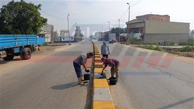 تنفيذ مبادرة «جميلة يا بلدي» بدسوق في كفرالشيخ