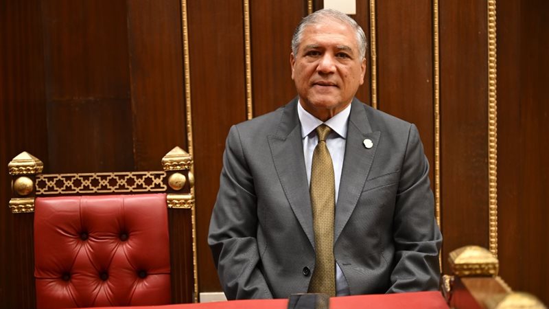 الدكتور عفت السادات