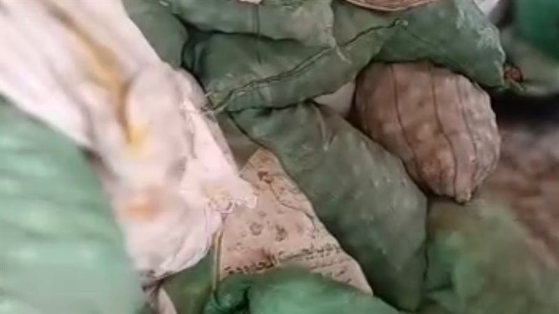 بطاطس فاسدة 