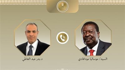 وزير الخارجية يتلقى اتصالاً هاتفياً من نظيره الكيني لبحث العلاقات الثنائية والقضايا الإقليمية